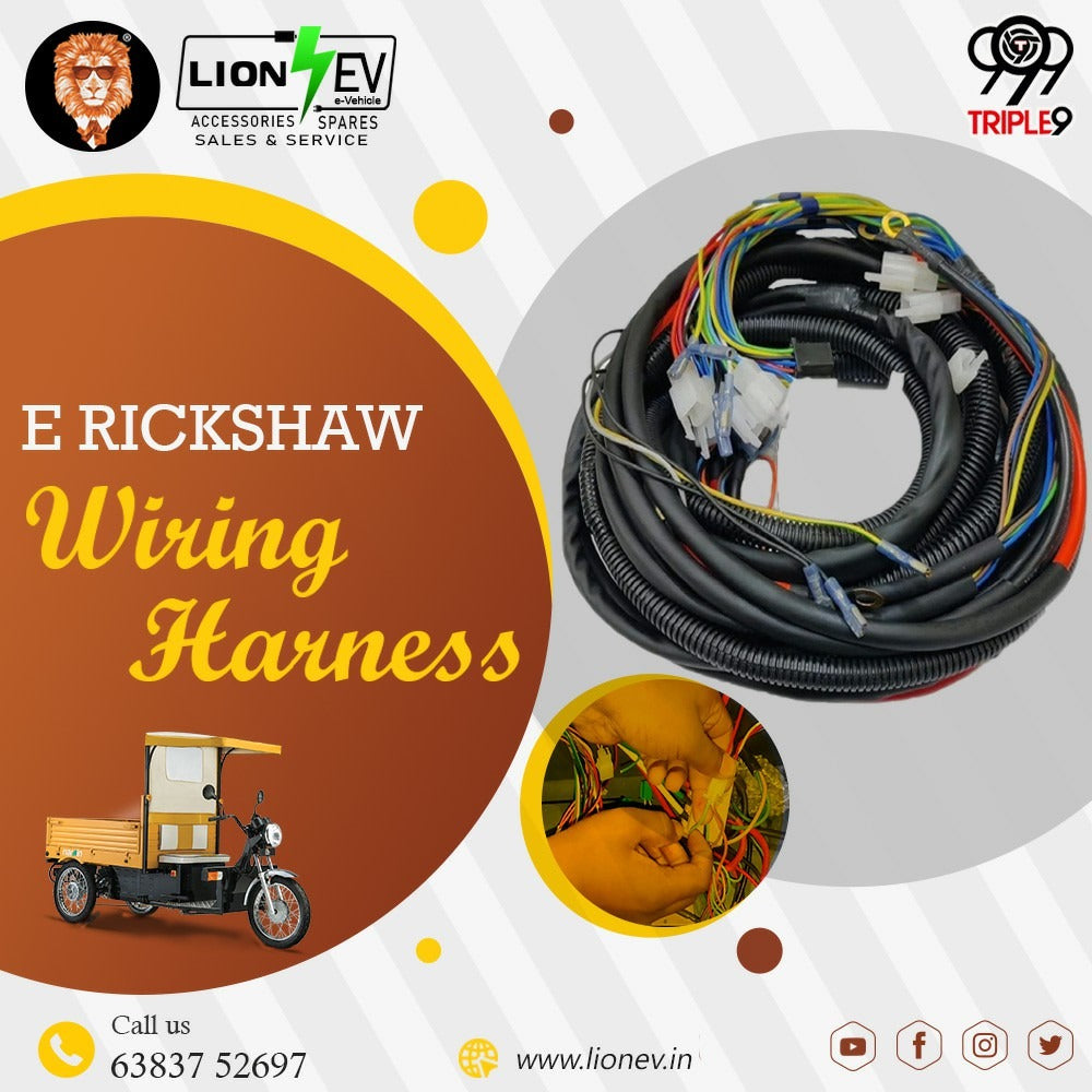 E- RICKSHAW WIRING HARNESS LION EV