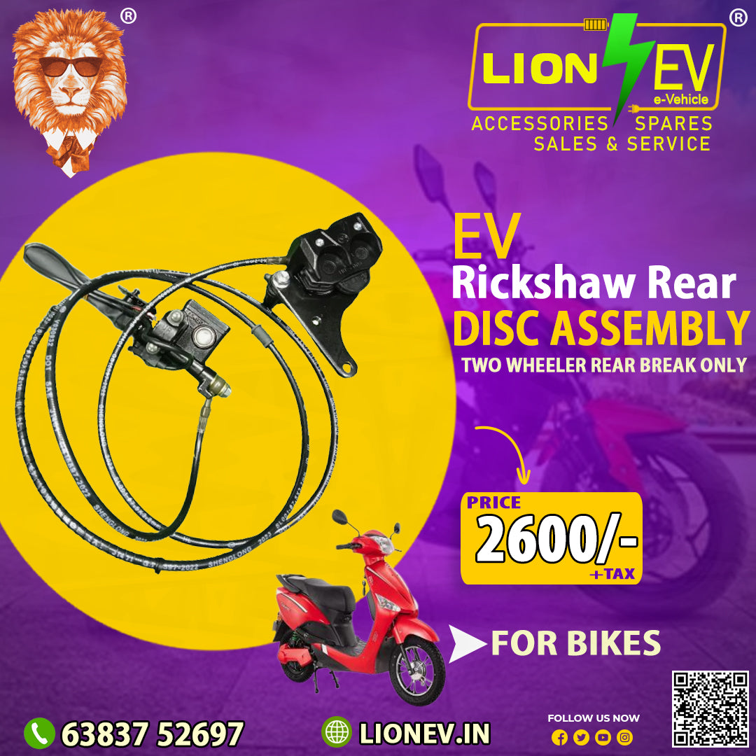 Ev Rickshaw Rear Disc Assembly