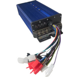 LION EV, e rickshaw, e rickshaw controller, e rickshaw 48v/60v 1000w intelligent controller,