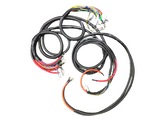 LION EV RICKSHAW  WIRING HARNESS 999